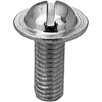 AVCAP14473 image(0) - AUVECO PAK LIC.PLATE SCREW,M6-1.10 X16MM,SLOTTED RD. HD,ZINC