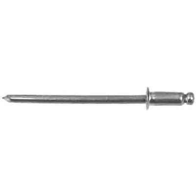 AVC11104 image(0) - AUVECO PANEL RIVETS 1/8 DIA 3/16-1/4 GRIP STAINLESS- FORD