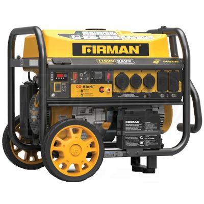 FRGP09305 image(0) - Generator, 11,600, Remote Start, 124/140 V