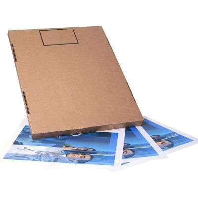 MMM36901 image(0) - 3M 17" x 22" Protective Floor Mat 250/box