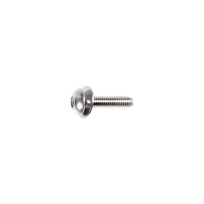 AVC14947 image(0) - AUVECO 14947 Torx Pan Head Sems Mirror Mounting Screw, M6 x 1 mm Screw x 26 mm L, Chrome