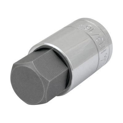 WLMW32886 image(0) - Wilmar Corp. / Performance Tool 1/2" Dr. 13/16" Hex Bit Socket