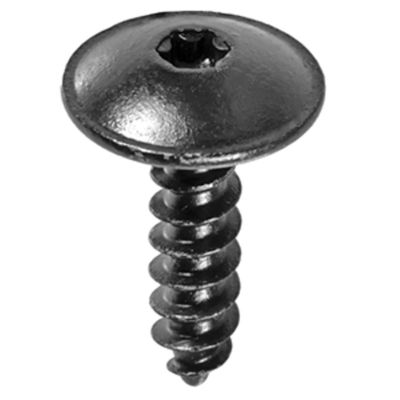 AVC21541 image(0) - AUVECO 21541 Torx Truss Head A/AB Point Tapping Screw, M5.5 Screw x 20 mm L x 15 mm Dia Head, Black Zinc