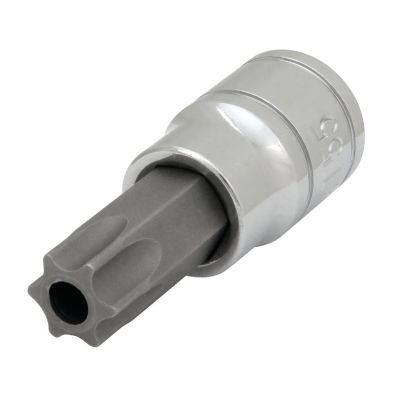 WLMW38955 image(0) - Wilmar Corp. / Performance Tool 3/8" Dr. T55 TR Star Bit Socket