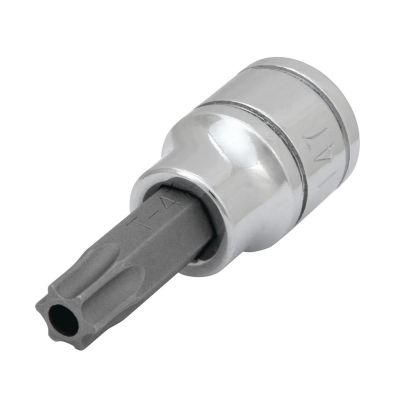 WLMW38947 image(0) - Wilmar Corp. / Performance Tool 3/8" Dr. T47 TR Star Bit Socket