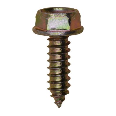 AVCAP16960 image(0) - AUVECO PAK M6-1.81 X 20MM LICENSE PLATE SCREWS