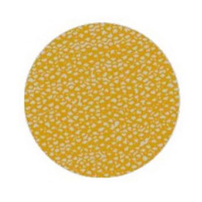 MRKOS570001 image(0) - Mirka Abrasives OSP 1 OS-570-001 OS Series Closed Coated Sanding Sheet Roll, 2-3/4 in W x 33 ft L