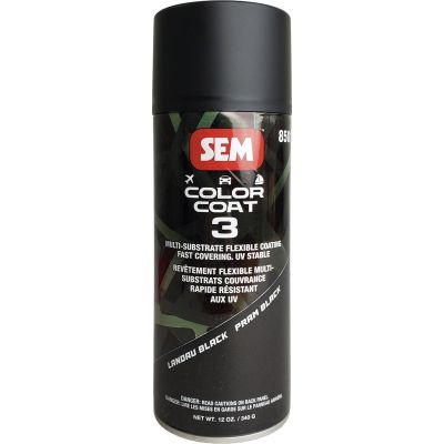 SEM85013 image(0) - SEM Paints Color Coat 3 Landau Black 16 oz Aerosol