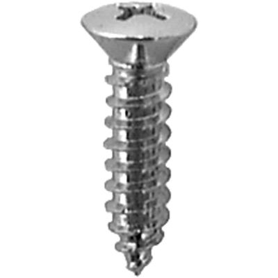 AVCAP1717 image(0) - AUVECO AP1717 Phillips Oval Head A/AB Point Tapping Screw, #10 Screw x #8 Head x 3/4 in L, Chrome