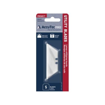 ASRAPBL-8009 image(0) - AccuTec Pro AccuTec Pro Utility Blade .024 HD 1074 2-Notch 5BL/CD (10CD/CT, 10CT/CA)