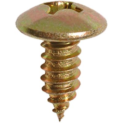AVC17098 image(0) - AUVECO PHIL TRUSS HD LIC. PLATE SCREW M6.3-1.81 X 15MM