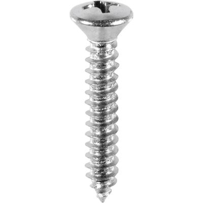 AVC2713 image(0) - AUVECO #8 X 1 PHILLIPS OVAL HEAD TAP SCREW CHROME