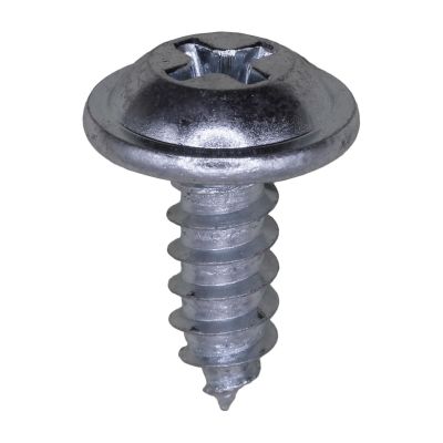 AVCAP13027 image(0) - AUVECO PAK PHIL FLAT WSHR HD T.S., #10 X 1/2, ZINC