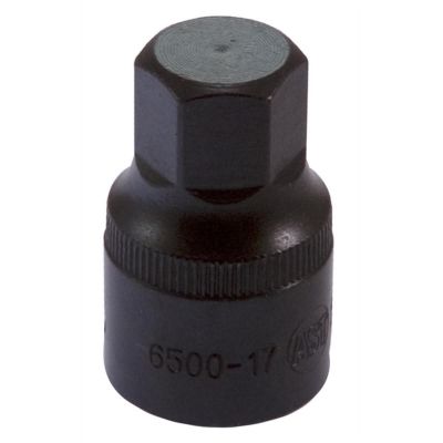 ANR6500-17 image(0) - Assenmacher SOC 17MM 1/2D HEX SATIN