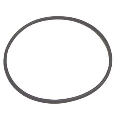 TMRTC181713 image(1) - Tire Mechanic's Resource (H10)Large O-Ring For TC182034 Rotary Coupling Assembly