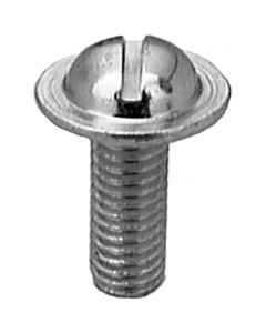 AVCAP14473 image(0) - AUVECO PAK LIC.PLATE SCREW,M6-1.10 X16MM,SLOTTED RD. HD,ZINC