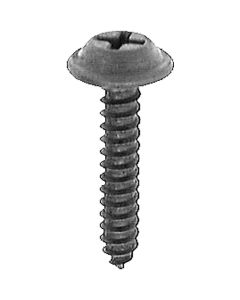 AVC12954 image(0) - AUVECO PHILLIPS FLAT WASHER HD T.S. #10 X 1 BLACK