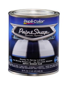DUPBSP210 image(0) - Krylon Midnight Blue