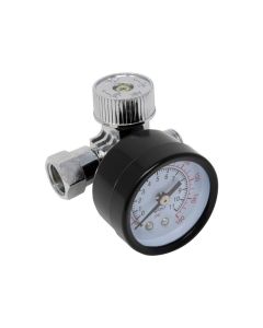AES Industries 882 Quick Adjust Air Regulator with Gauge, 1/4 in MNPT Inlet, 1/4 in FNPT Outlet, 160 psi