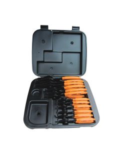 Lang Tools (Kastar) 12-pc. Combination Int/Ext Retaining Ring Pliers S