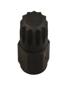 Assenmacher 14MM 12PT BIT