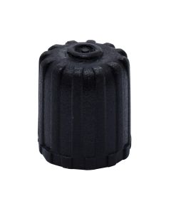 Dill Air Controls TPMS VALVE CAP - BLACK 100 PK