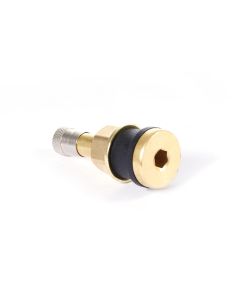 TMRTR501-50 image(1) - Tire Mechanic's Resource TR501 Brass Truck Valve (Pack of 50)