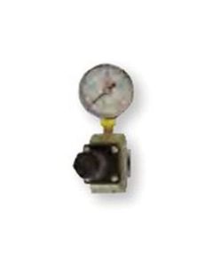 Reading Technologies  RG25 Regulator and Gauge Assembly, 1/4 in