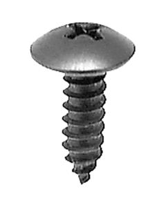 AVC17459 image(0) - AUVECO PHILLIPS TRUSS HEAD TAP SCREW M4.8-1.61 X 16MM