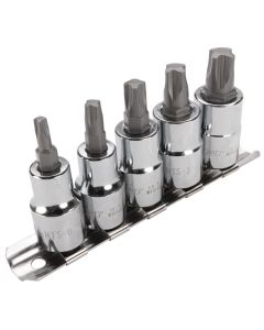 WLMW13500 image(1) - Wilmar Corp. / Performance Tool 5 Piece Mortorq Bit Socket Set