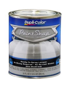 DUPBSP202 image(0) - Krylon Brilliant Silver