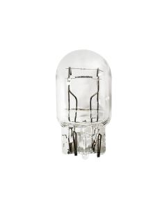 AUVECO B7443 High Performance Type 16 Miniature Bulb, Clear