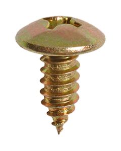 AVCAP17098 image(0) - AUVECO AUVECOPAK M6-1.81 X 15 MM LICENSE PLATE SCREW