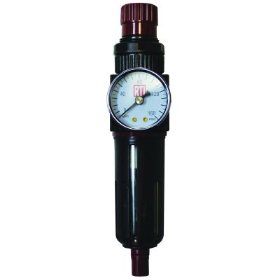 RTCFR250-G image(0) - Reading Technologies  FR250-G Filter/Regulator, 1/4 in Inlet/Outlet, 30 scfm, 5 um, 120 deg F Maximum, 230 psig Maximum Supply